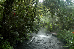 eco-springs.jpg