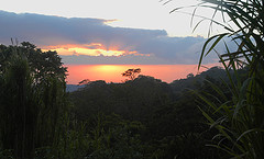 monteverde.jpg