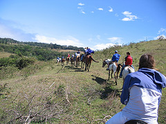 120025444_fa00064399_m