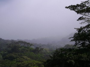 2243637391_3bc5fd6042