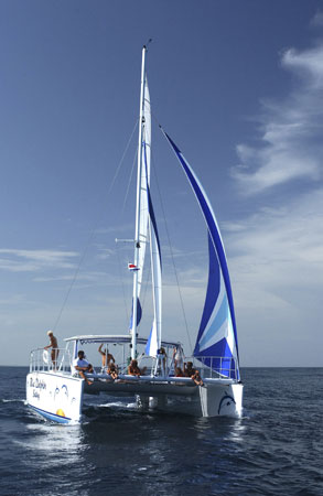 bluedolphin