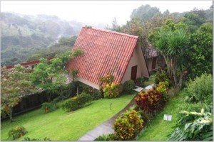 pura-vida-s-deluxe-rooms